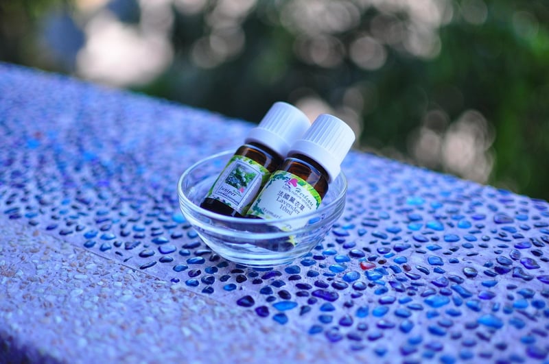 Magical Plant Care Essentials